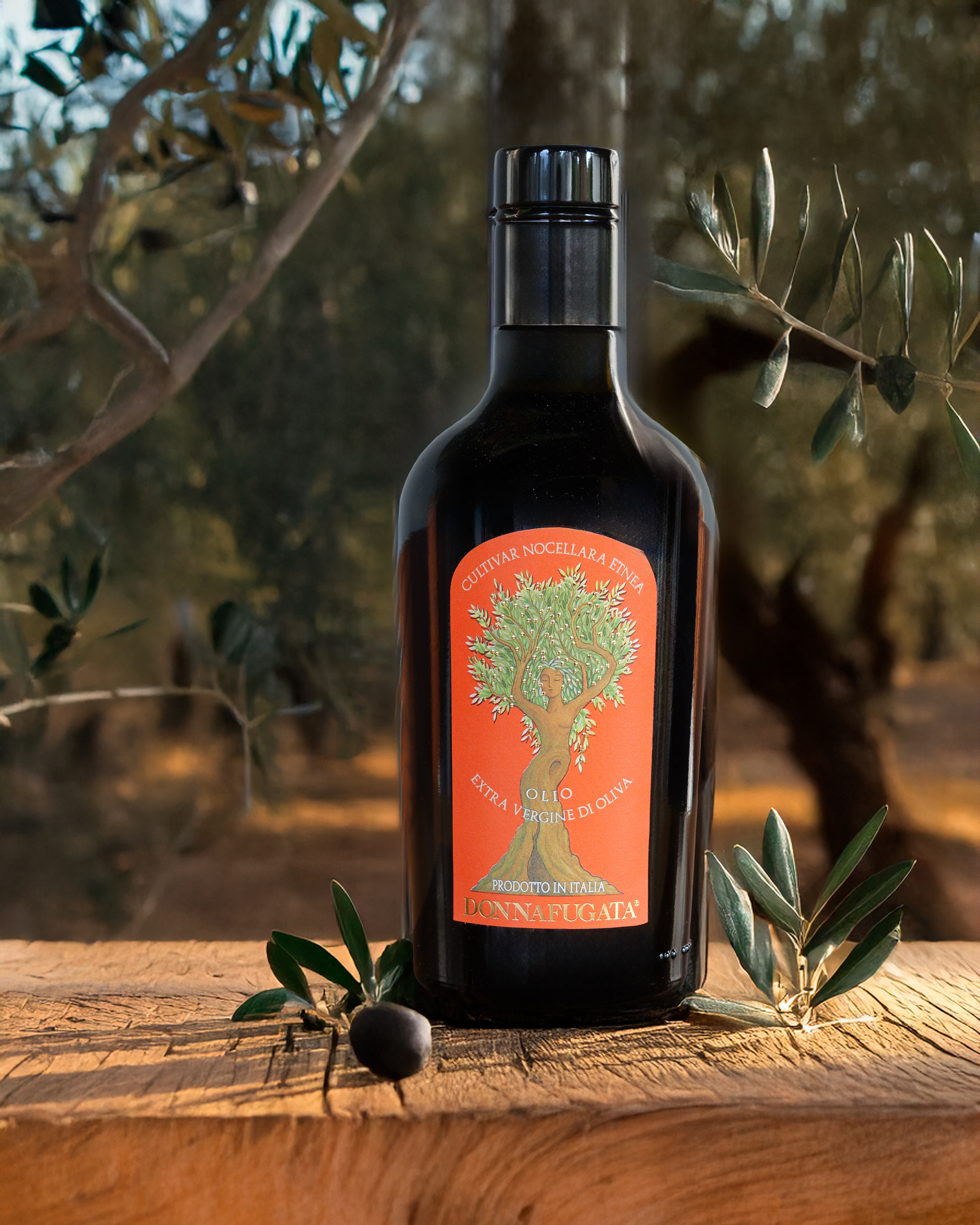 𝐍𝐨𝐜𝐞𝐥𝐥𝐚𝐫𝐚 𝐄𝐭𝐧𝐞𝐚 𝐝𝐢 𝐃𝐨𝐧𝐧𝐚𝐟𝐮𝐠𝐚𝐭𝐚